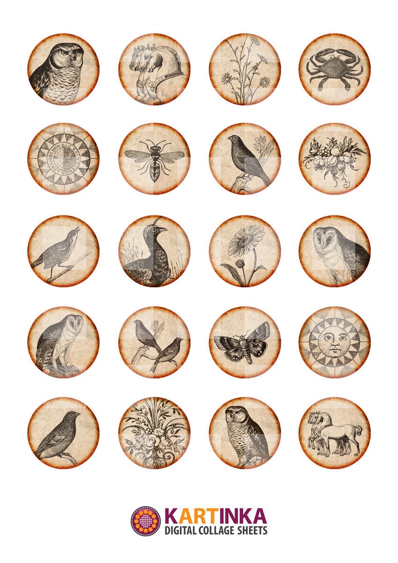 Op de afbeelding: Een digitale collagevel met 20 ronde vintage illustraties. De afbeeldingen bevatten een uil, een paard, bloemen, een krab, een bij, vogels, een mot, een zon en bloemstukken. De afbeeldingen hebben een sepia-tint en een verweerde uitstraling.
