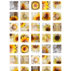 May include: A digital collage sheet featuring a grid of sunflower images in various styles. The sunflowers are depicted in shades of yellow, orange, and brown, with some having a textured or artistic appearance. The sheet includes the text "KARTINKA DIGITAL COLLAGE SHEETS".