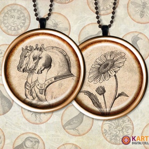 Op de afbeelding: Twee ronde hangerkettingen met illustraties in antieke stijl. E&eacute;n toont drie paardenkoppen, de andere een zonnebloem. Beide zijn gezet in bronskleurige frames en hangen aan kogelkettingen. De achtergrond is een collage van vintage afbeeldingen.