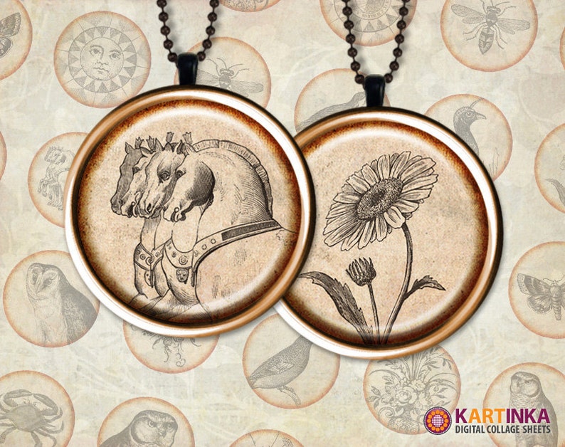 Op de afbeelding: Twee ronde hangerkettingen met illustraties in antieke stijl. E&eacute;n toont drie paardenkoppen, de andere een zonnebloem. Beide zijn gezet in bronskleurige frames en hangen aan kogelkettingen. De achtergrond is een collage van vintage afbeeldingen.