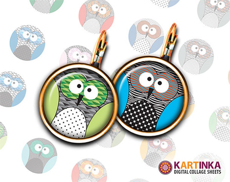 May include: A pair of round earrings with a gold-colored frame, featuring owl designs. One earring has a green and black owl, the other a blue and black owl. The background includes owl illustrations.