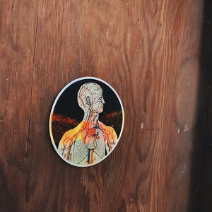 May include: A round sticker with a black background and a white outline. The sticker features a detailed anatomical illustration of a human torso, including the heart, lungs, and circulatory system. The illustration is in shades of orange, yellow, and white.