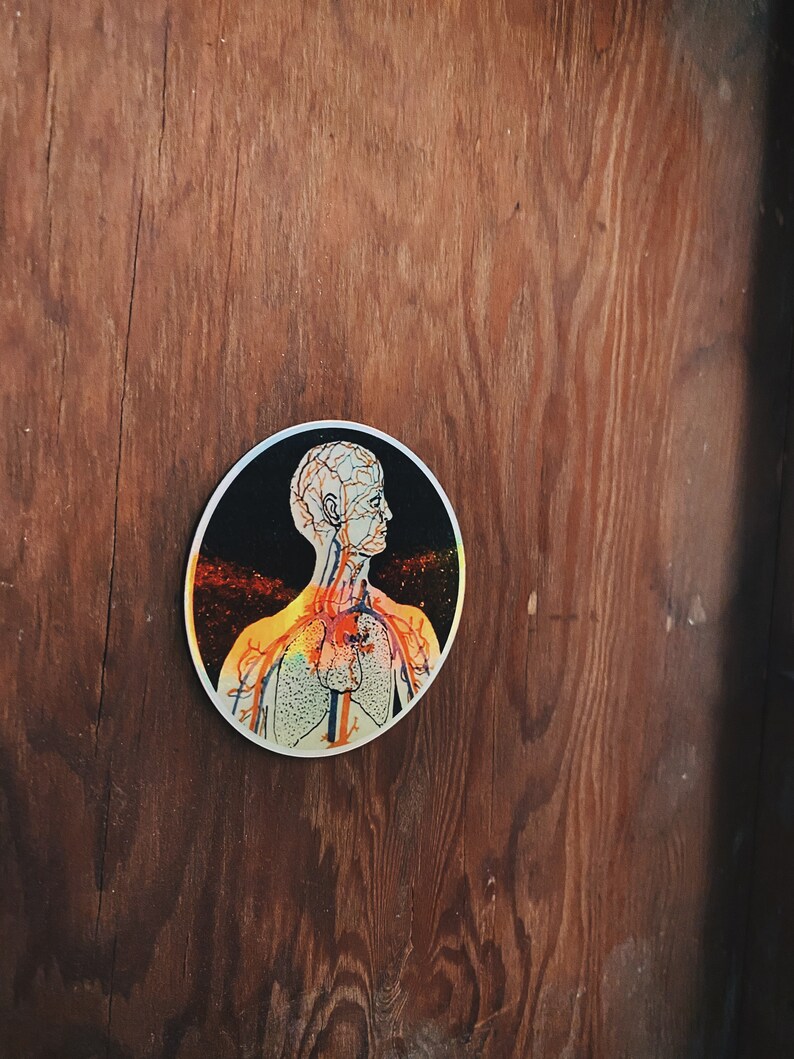 May include: A round sticker with a black background and a white outline. The sticker features a detailed anatomical illustration of a human torso, including the heart, lungs, and circulatory system. The illustration is in shades of orange, yellow, and white.