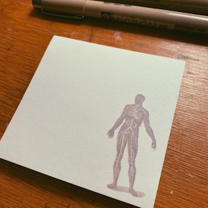 Arterial Man anatomy post-its