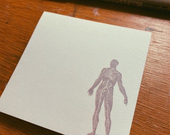 May include: A simple white sticky note with a light purple illustration of a human body with visible veins and arteries. The illustration is in a vintage style.