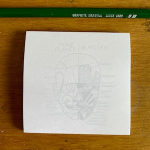May include: A white sheet of paper with a drawing of a human face showing the bone planes and muscles. The text "BONE PLANES MUSCLES" is at the top of the drawing.
