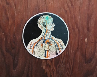 Arterial System Vintage Anatomy Mortuary hologram sticker