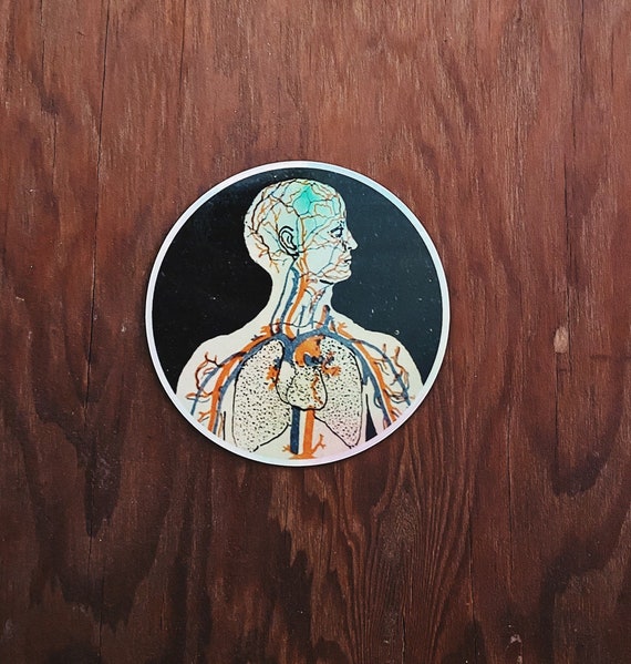 Arterial System Vintage Anatomy Mortuary hologram sticker