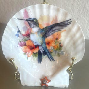 Pode incluir: Uma concha de vieira branca com uma ilustração colorida em estilo aguarela de um beija-flor em voo, rodeado por flores cor-de-laranja e cor-de-rosa. A concha é exibida num suporte de metal dourado e inclui um pequeno pendente em forma de estrela laranja.