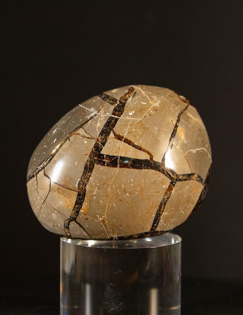 Polished Septarian Dragon Egg Geode, Black Calcite Druzy Crystal ...