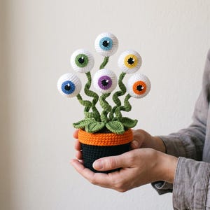 May include: A crocheted plant in a black and orange pot featuring five white spherical eyeballs with blue, green, purple, yellow, and orange irises. Each eyeball is attached to a green, winding, stem-like structure emerging from green leaves.