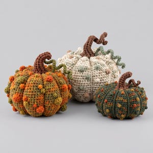 Può includere: Tre zucche realizzate all'uncinetto di dimensioni e colori diversi. La zucca a sinistra è arancione e verde, quella centrale è color crema con accenti verdi e quella a destra è verde scuro e arancione. Ognuna presenta un gambo marrone.