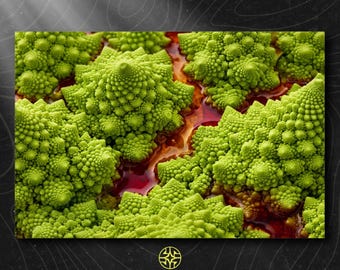 Puede incluir: Una vista de cerca de floretes de brócoli Romanesco de color verde brillante con un patrón fractal en espiral distintivo. Los trozos de verdura están dispuestos juntos, revelando un líquido rojo intenso y brillante que llena los huecos.