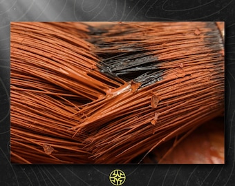 Puede incluir: Un pincel con cerdas largas y finas cubiertas de pintura naranja terracota espesa y texturizada. El centro del cabezal del pincel muestra vetas de pintura negra mezcladas con el naranja, con pequeñas escamas de pintura seca adheridas.
