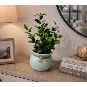 May include: A small, round, light green ceramic planter with a speckled finish and a thin brown twine tied in a bow around the neck. The planter holds a green leafy plant with multiple stems and pointed leaves, positioned upright in the centre.