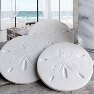 Sand Dollar Drink Coasters, Absorbent Coasters, Set of 4, Beach Coasters, Housewarming, Hostess Gift, Beachlife, McCarter Coasters