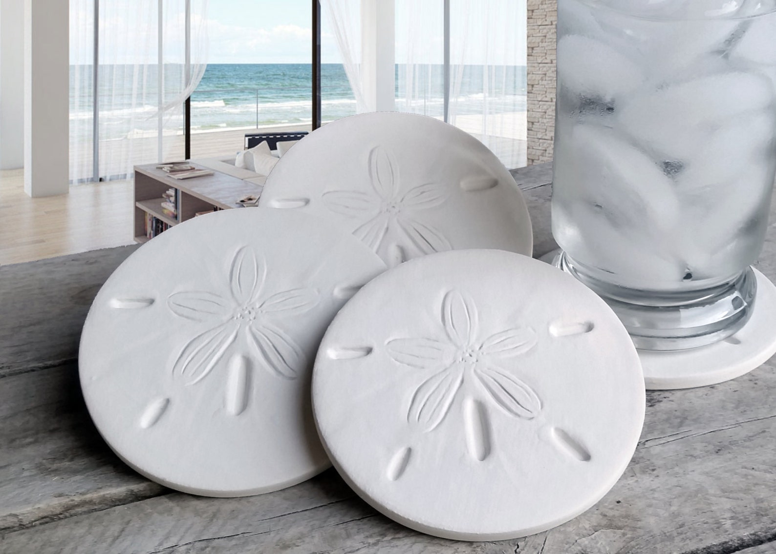 Sand Dollar Drink Coasters Absorbent Coasters Set of 4 Etsy