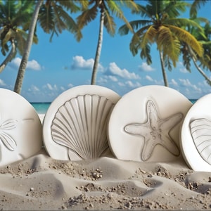 Shell Drink Coasters: Absorbent Ceramic, Nautical Beach Decor, Set of 4