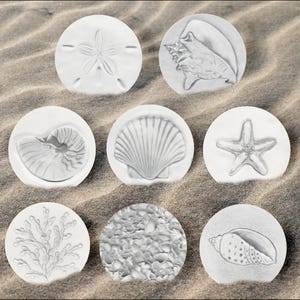 Beach House Shell Coasters that absorb moisture - set of 4 - Your Choice - Made in USA