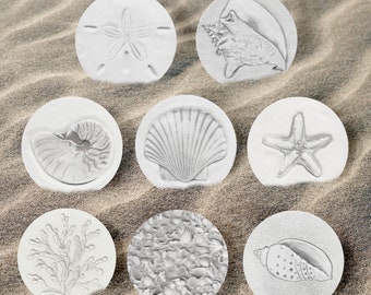 Beach House Shell Coasters that absorb moisture - set of 4 - Your Choice