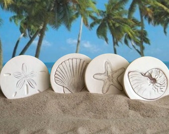 Shells Assorted Drink Coasters, Absorbent Coasters, Set of 4, Housewarming, Beach Coasters, Hostess Gifts, Nautical Decor, McCarter Coasters