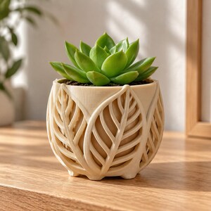 May include: A vibrant green succulent plant potted in a cream-coloured planter. The planter features a decorative exterior design consisting of repeating, raised leaf-shaped cutouts that wrap around the entire circumference of the round pot.