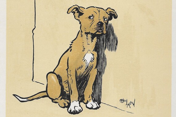 BLOODHOUND THREE PUPPIES LOVELY ORIGINAL DOG PRINT PAGE FROM 1934