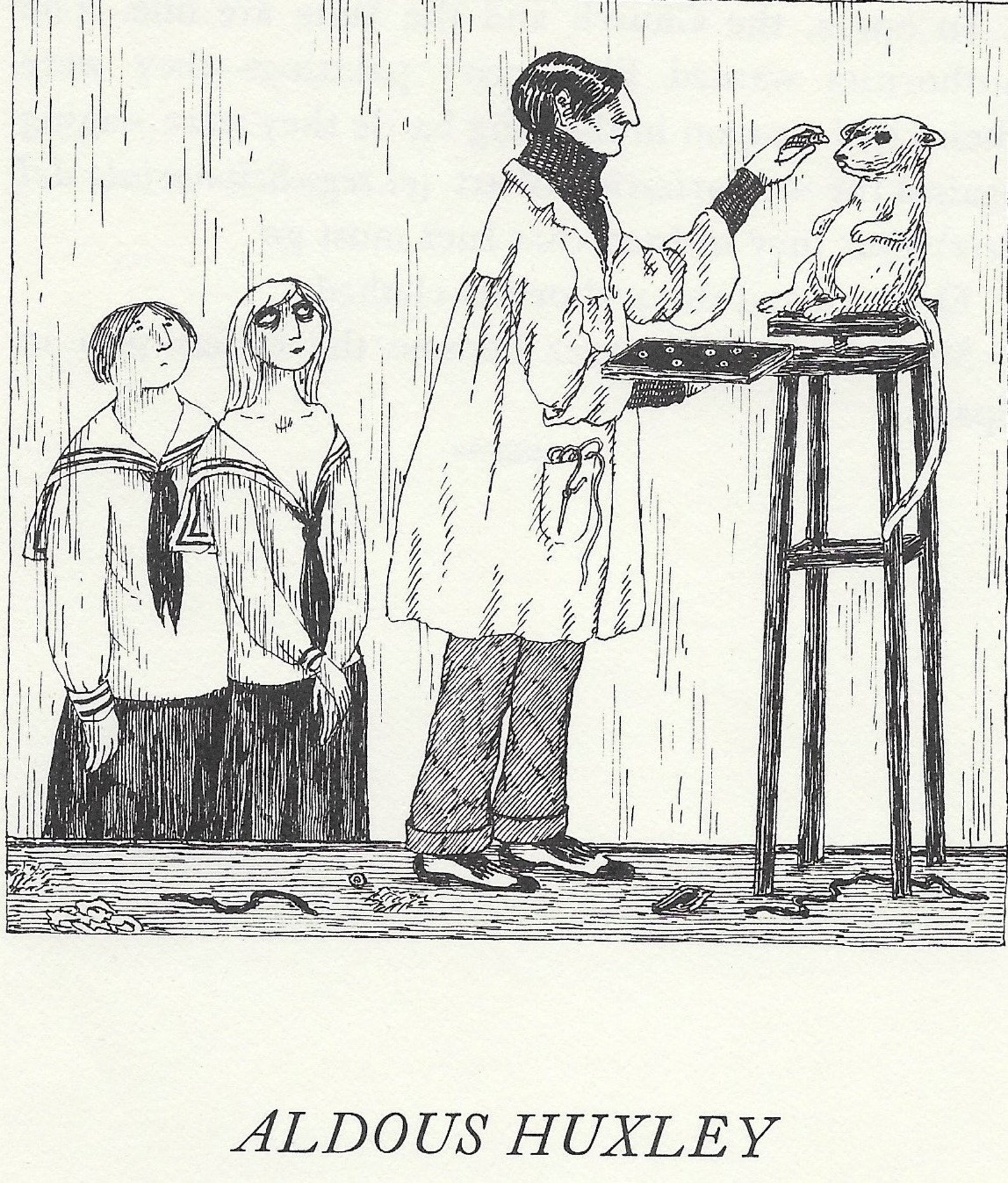 Vintage Original EDWARD GOREY Print From 1974. Edward Gorey Art. aldous ...