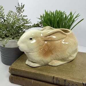 May include: A ceramic planter shaped like a crouching rabbit with a glossy cream and light brown finish. The rabbit has a hollow opening on its back for plants, detailed molded fur texture, and a dark eye, positioned in a resting pose.