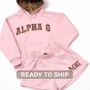 Conjunto de sudadera con capucha y pantalones cortos con estampado de leopardo bordado de Alpha Omicron Pi / Conjunto deportivo rosa de hermandad / Opción de solo sudadera con capucha (tallas limitadas)