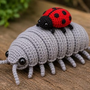 May include: A gray crocheted pill bug with black bead eyes and two antennae, featuring a smaller red and black crocheted ladybug with black bead eyes resting on its back. The pill bug has a segmented body with multiple small legs on each side.