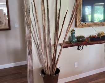 Saguaro Home Décor