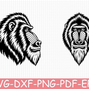 Può includere: Un'illustrazione grafica in bianco e nero che presenta due teste di mandrillo. Un mandrillo è mostrato di profilo rivolto a destra, mentre l'altro è presentato da una prospettiva frontale. Entrambe le teste mostrano dettagliate trame di pelliccia.