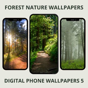 Puede incluir: Tres teléfonos inteligentes que muestran fondos de pantalla de naturaleza forestal. La pantalla izquierda muestra un sendero forestal soleado, la central un camino boscoso verde y la derecha un bosque brumoso con vegetación en el suelo.