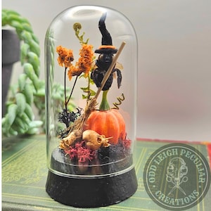 May include: A glass dome cloche on a black base containing a black insect figurine wearing a small black witch hat and holding a miniature broomstick. An orange pumpkin, dried orange flowers, and small animal skulls are arranged inside.