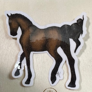 Autocollant de cheval, cheval Boho, autocollant pour ordinateur portable, autocollants de poney, autocollant de cheval mignon, décalque de cheval, tête de cheval, équestre, cheval de fleur, autocollants