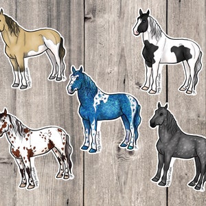 Horse Sticker,  Mystery Sticker, Saddlebred Horse, Laptop Sticker, Pony Stickers, Cute Horse Sticker, Horse Decal, Horse Art, Random