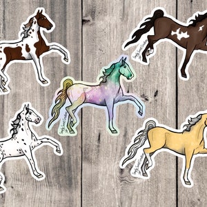 Adesivo de cavalo, adesivo misterioso, cavalo sela, adesivo para laptop, adesivos de pônei, adesivo de cavalo fofo, decalque de cavalo, arte de cavalo, aleatório