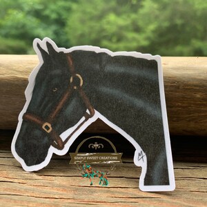 Schönes Pferd, Pferd Aufkleber, schwarzes Pferd, Laptop Aufkleber, Pony Aufkleber, süßes Pferd Aufkleber, Pferde Aufkleber, Pferdekunst, Original Kunstwerk