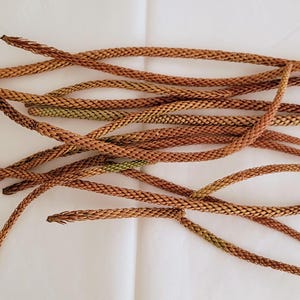 May include: A collection of dried, brown, rope-like plant stems with a textured surface. The stems are arranged in a loose, overlapping pattern against a white background. Some stems have hints of green.