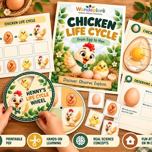 May include: A Chicken Life Cycle educational kit featuring a central poster, a circular Henny's Life Cycle wheel, anatomy diagrams, and observation worksheets. The materials include illustrations of eggs, chicks, and hens, with text labels for science learning.