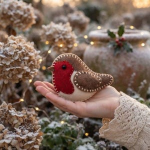 Può includere: Un ornamento in feltro a forma di pettirosso con petto rosso brillante, ali marroni e ventre color crema. L'uccellino è realizzato con visibili punti festone color crema lungo i bordi e include una piccola perlina nera come occhio.