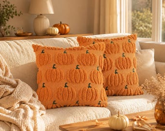 Housse de coussin brodée citrouille | Décoration automnale texturée (40 x 40 cm)