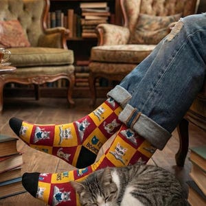 Può includere: Un paio di calzini con motivo a scacchi rossi e gialli, decorati con illustrazioni di gatti che leggono libri e la scritta "I LOVE BOOKS". I calzini presentano punte e talloni neri e sono indossati con jeans blu con risvolto.