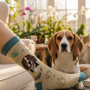 Peut inclure: Une chaussette beige de type crew ornée d'une illustration graphique d'une tête de chien beagle, du mot BEAGLE en noir et d'empreintes de pattes vertes et noires. La chaussette possède un revers, un talon et une pointe de couleur bleu sarcelle.