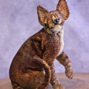 Gato Devon Rex, pelúcia realista, réplica de gato, personalizado