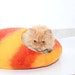 see more listings in the Cat bed section