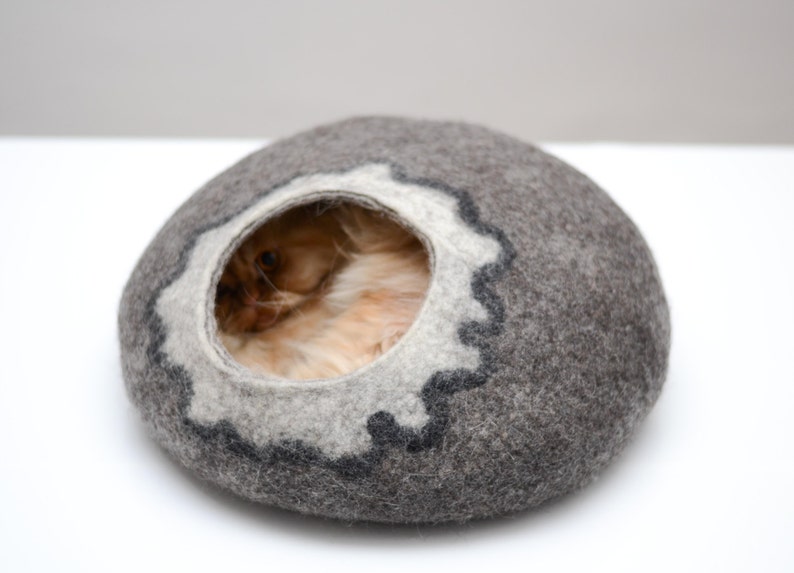 cat raw hides cat raw hides