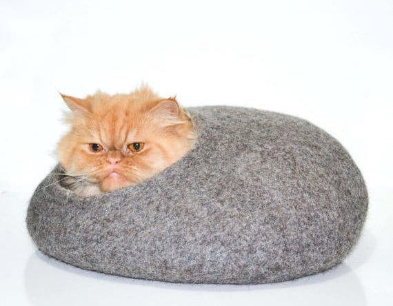 persian cat bed