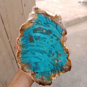Può includere: Una fetta piatta e irregolare di legno pietrificato caratterizzata da un centro turchese brillante e vivace con visibili venature del legno marrone scuro e marrone chiaro che si irradiano verso i bordi esterni ruvidi e strutturati.